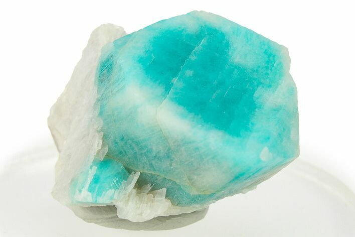 Amazonite Crystal Cluster - Colorado #282053